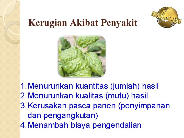 Kerugian Akibat Penyakit 1. Menurunkan kuantitas (jumlah) hasil 2. Menurunkan kualitas (mutu) hasil 3.