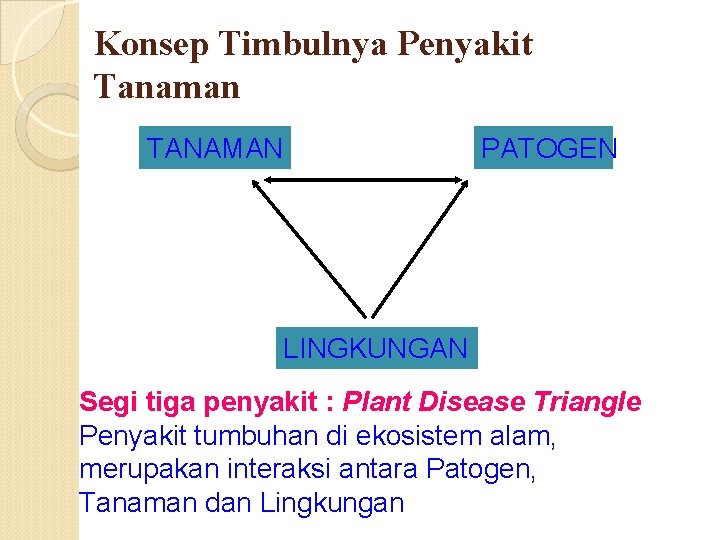 Konsep Timbulnya Penyakit Tanaman TANAMAN PATOGEN LINGKUNGAN Segi tiga penyakit : Plant Disease Triangle