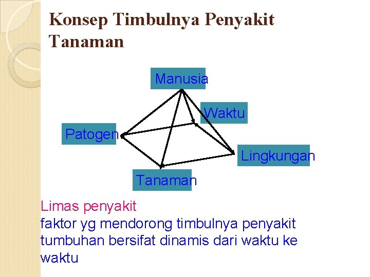 Konsep Timbulnya Penyakit Tanaman Manusia Waktu Patogen Lingkungan Tanaman Limas penyakit faktor yg mendorong