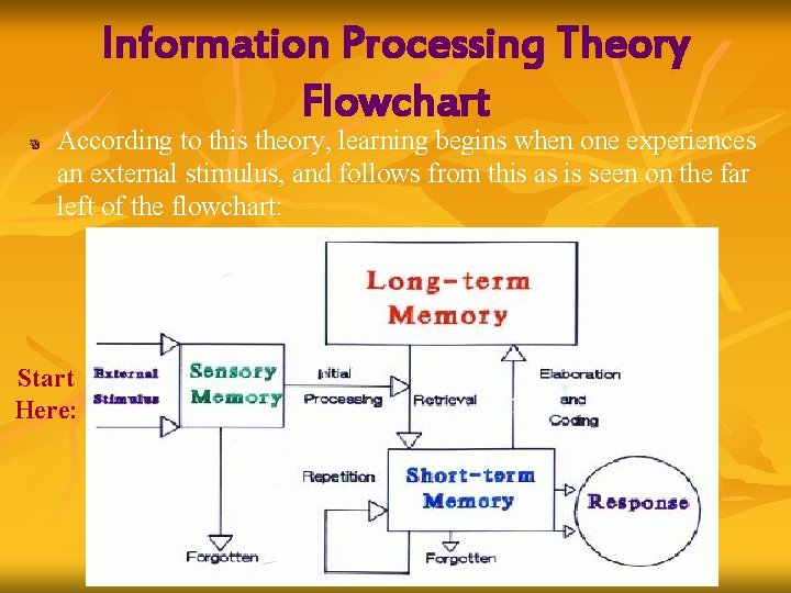 Information Processing Theory Flowchart According to this theory, learning begins when one experiences an