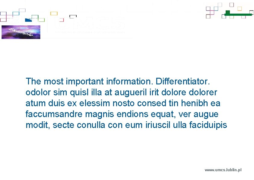 The most important information. Differentiator. odolor sim quisl illa at augueril irit dolorer atum