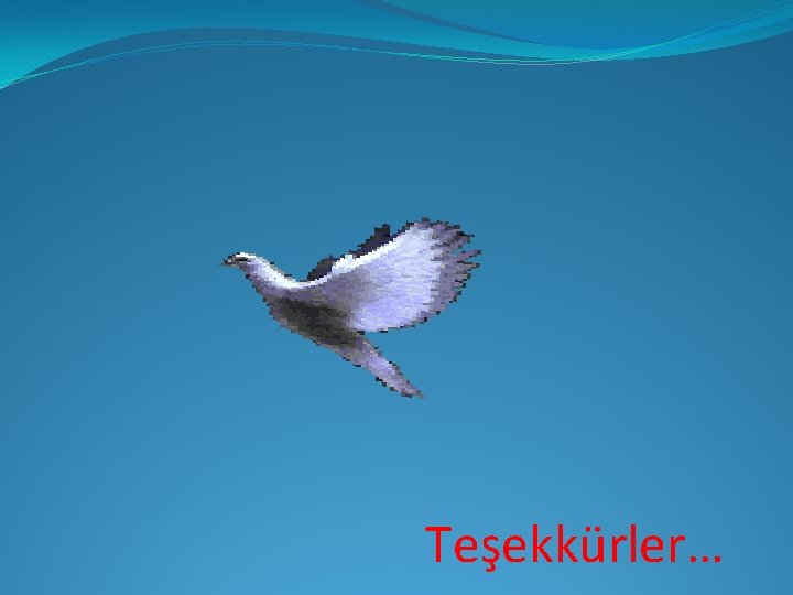 Teşekkürler… 