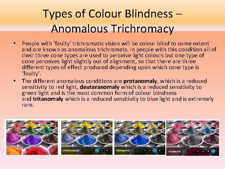 Types of Colour Blindness – Anomalous Trichromacy • People with ‘faulty’ trichromatic vision will