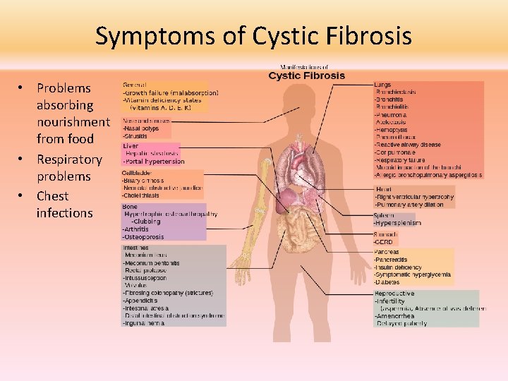 Symptoms of Cystic Fibrosis • Problems absorbing nourishment from food • Respiratory problems •