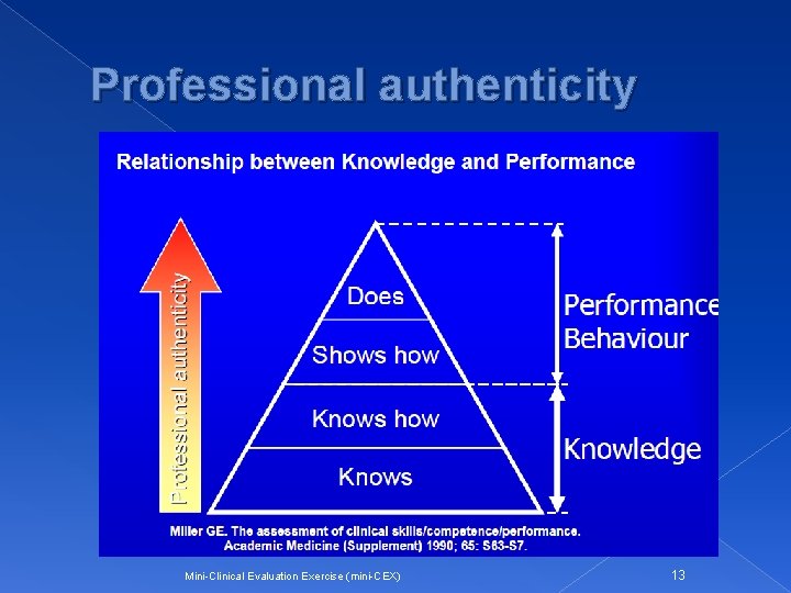 Professional authenticity Mini-Clinical Evaluation Exercise (mini-CEX) 13 