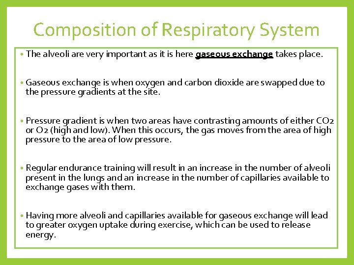 Composition of Respiratory System • The alveoli are very important as it is here