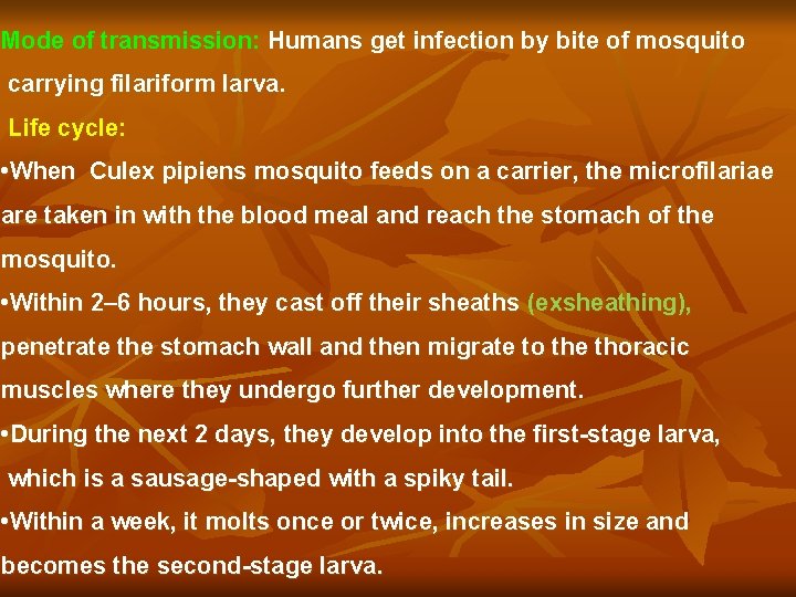 Mode of transmission: Humans get infection by bite of mosquito carrying filariform larva. Life