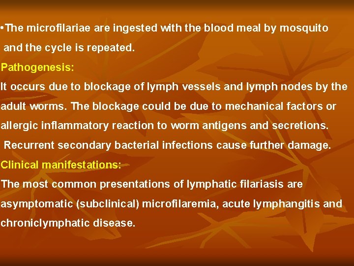  • The microfilariae are ingested with the blood meal by mosquito and the