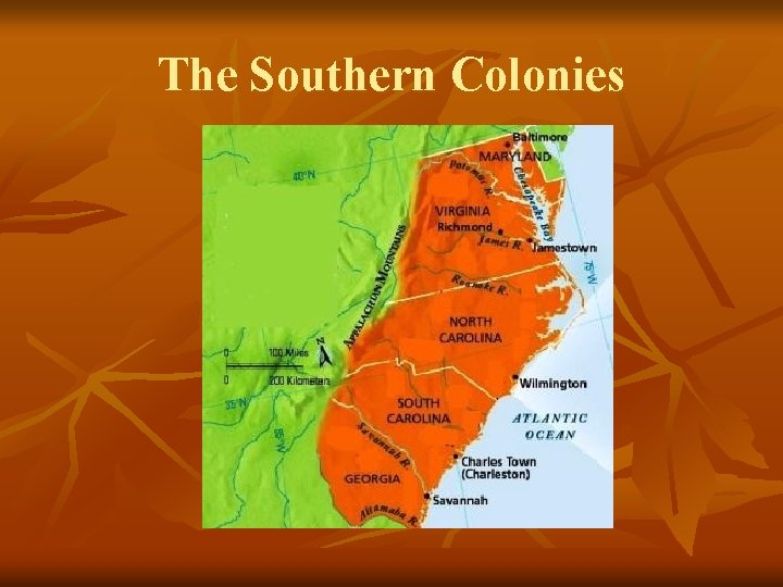 The Southern Colonies 