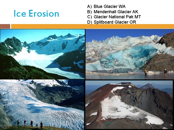 Ice Erosion A) B) C) D) Blue Glacier WA Mendenhall Glacier AK Glacier National