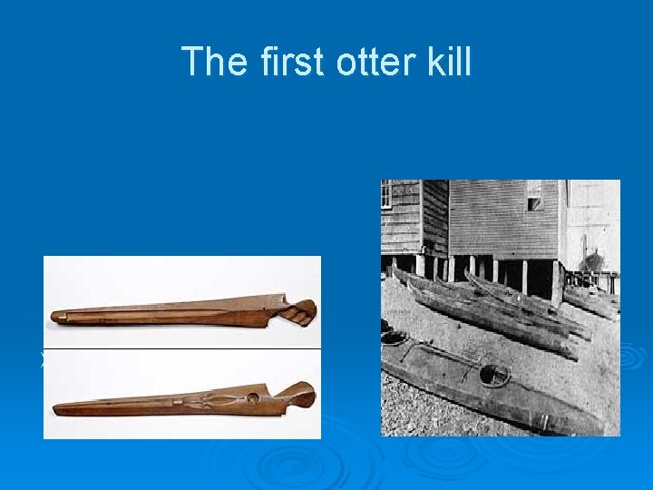 The first otter kill Ø 8 -9000 ya, otters become an easy target 