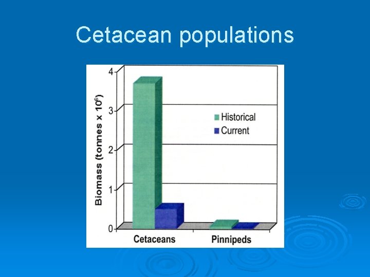 Cetacean populations 