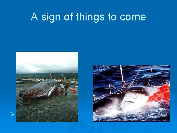 A sign of things to come Ø Ripple effects 