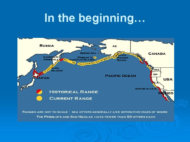 In the beginning… 