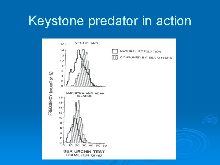 Keystone predator in action 