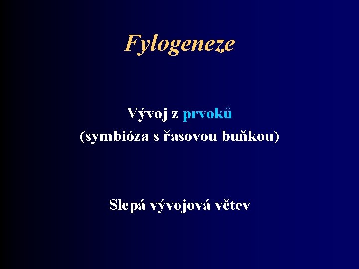 Fylogeneze Vývoj z prvoků (symbióza s řasovou buňkou) Slepá vývojová větev 