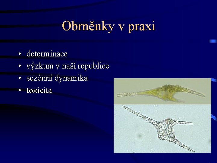 Obrněnky v praxi • • determinace výzkum v naší republice sezónní dynamika toxicita 