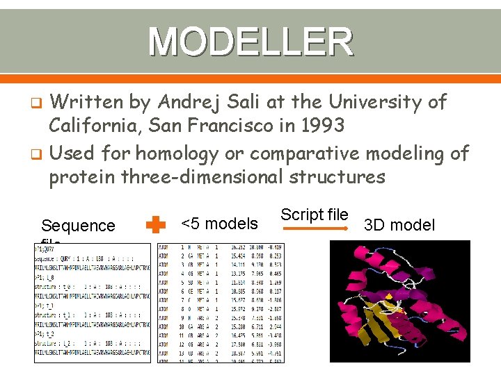 MODELLER Written by Andrej Sali at the University of California, San Francisco in 1993