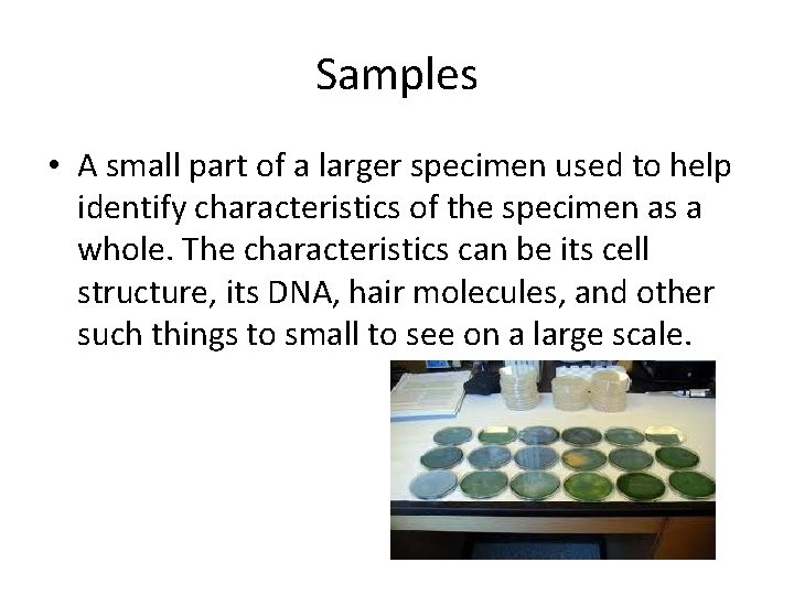 Samples • A small part of a larger specimen used to help identify characteristics