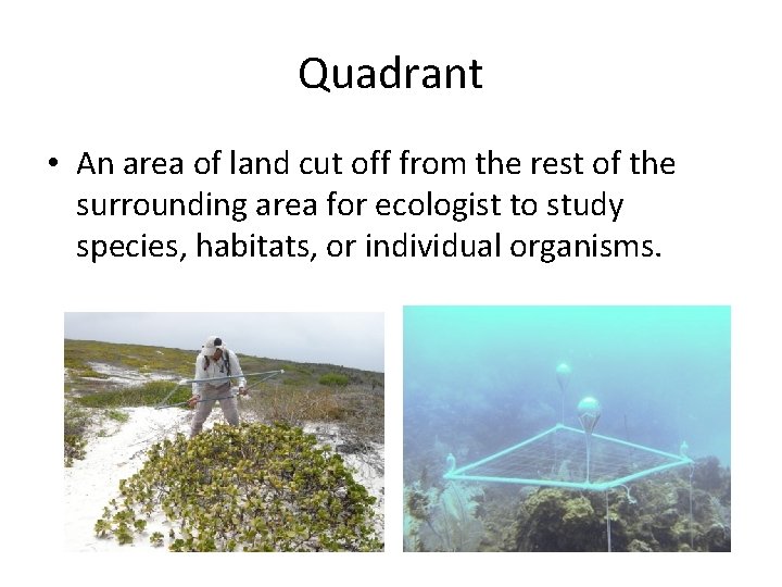 Quadrant • An area of land cut off from the rest of the surrounding