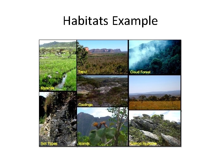 Habitats Example 