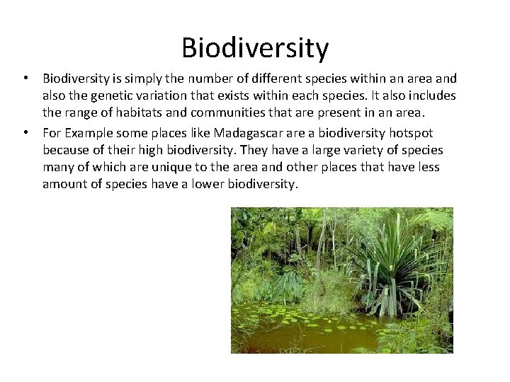 Biodiversity • Biodiversity is simply the number of different species within an area and