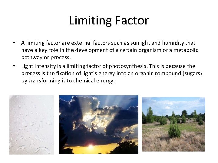 Limiting Factor • A limiting factor are external factors such as sunlight and humidity