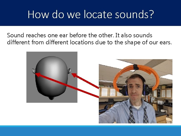 How do we locate sounds? Sound reaches one ear before the other. It also