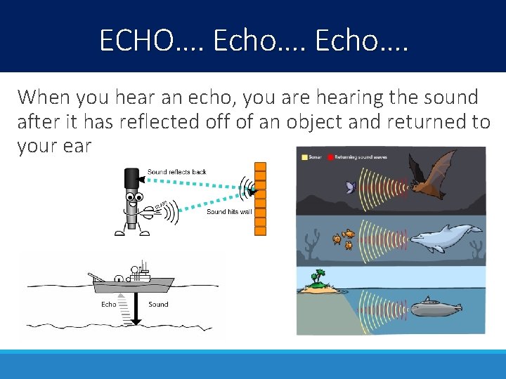 ECHO…. Echo…. When you hear an echo, you are hearing the sound after it