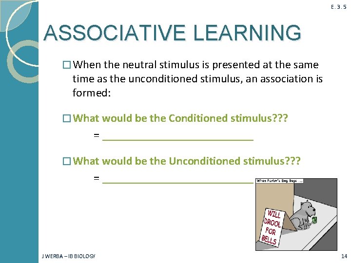 E. 3. 5 ASSOCIATIVE LEARNING � When the neutral stimulus is presented at the