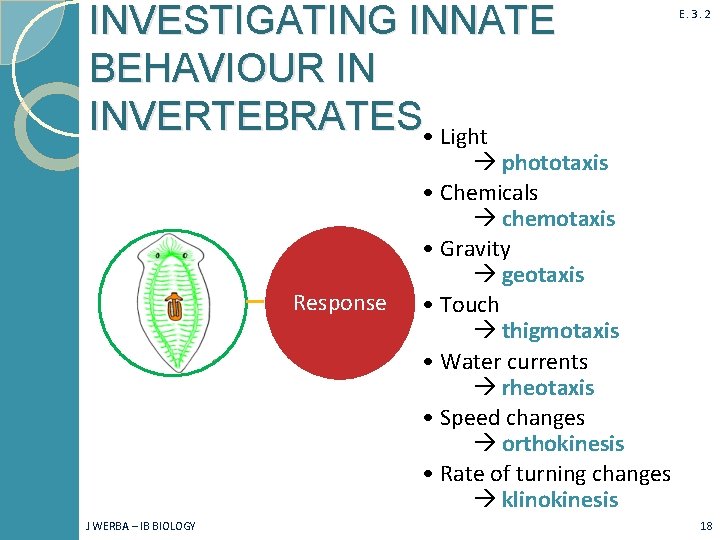 INVESTIGATING INNATE BEHAVIOUR IN INVERTEBRATES • Light Response J WERBA – IB BIOLOGY E.