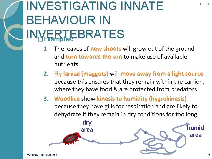 INVESTIGATING INNATE BEHAVIOUR IN INVERTEBRATES � Examples: E. 3. 2 1. The leaves of