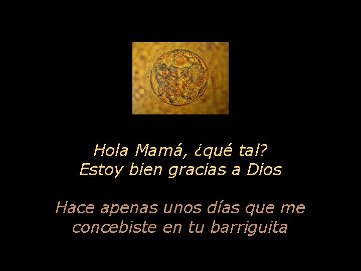 Hola Mamá, ¿qué tal? Estoy bien gracias a Dios Hace apenas unos días que