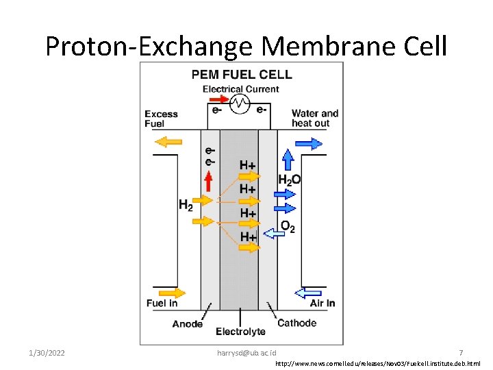 Proton-Exchange Membrane Cell 1/30/2022 harrysd@ub. ac. id 7 http: //www. news. cornell. edu/releases/Nov 03/Fuelcell.