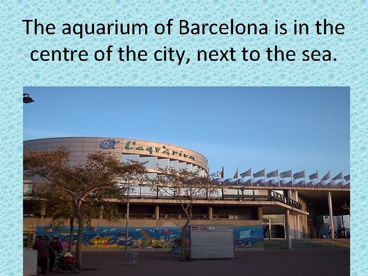 The aquarium of Barcelona is in the centre of the city, next to the