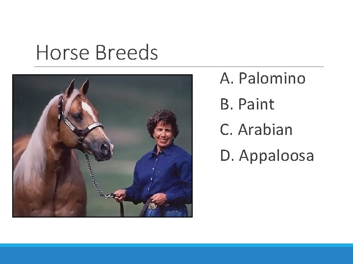 Horse Breeds A. Palomino B. Paint C. Arabian D. Appaloosa 