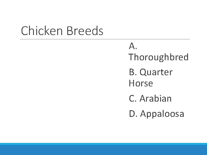 Chicken Breeds A. Thoroughbred B. Quarter Horse C. Arabian D. Appaloosa 