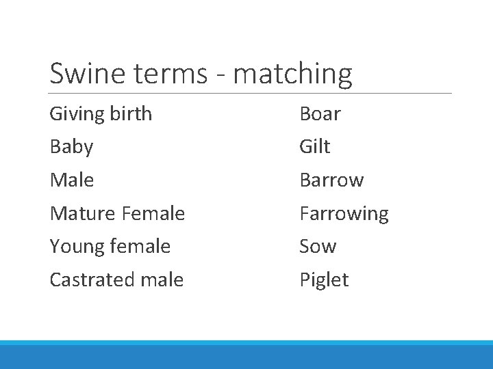 Swine terms - matching Giving birth Boar Baby Gilt Male Barrow Mature Female Farrowing