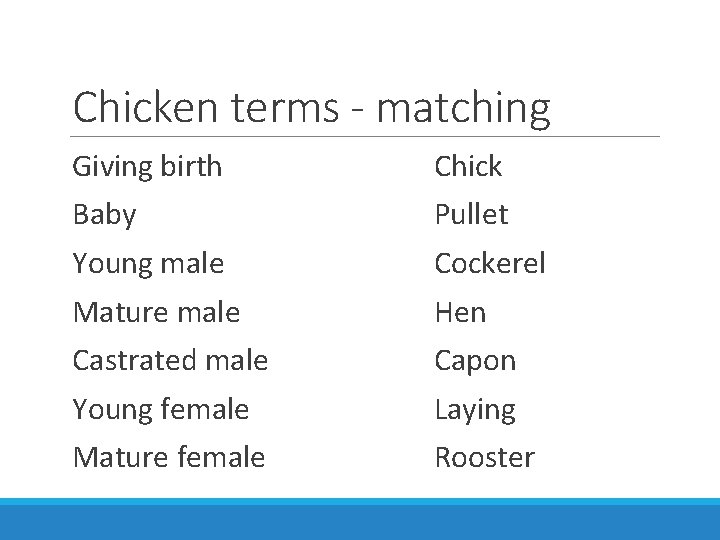 Chicken terms - matching Giving birth Chick Baby Pullet Young male Cockerel Mature male