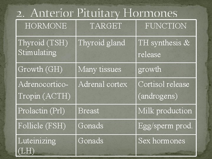 2. Anterior Pituitary Hormones HORMONE TARGET FUNCTION Thyroid (TSH) Stimulating Thyroid gland TH synthesis
