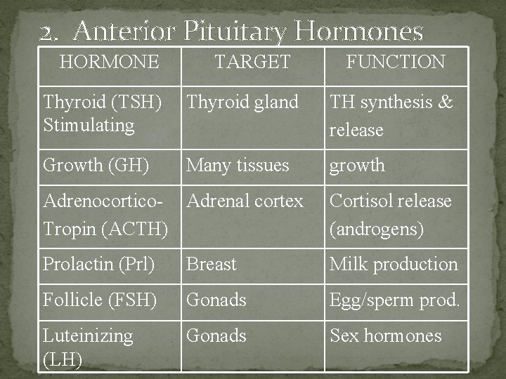 2. Anterior Pituitary Hormones HORMONE TARGET FUNCTION Thyroid (TSH) Stimulating Thyroid gland TH synthesis