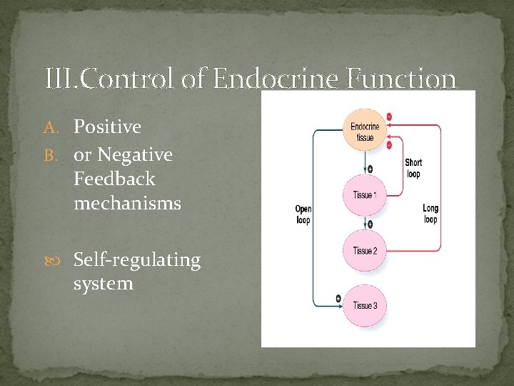 III. Control of Endocrine Function A. Positive B. or Negative Feedback mechanisms Self-regulating system