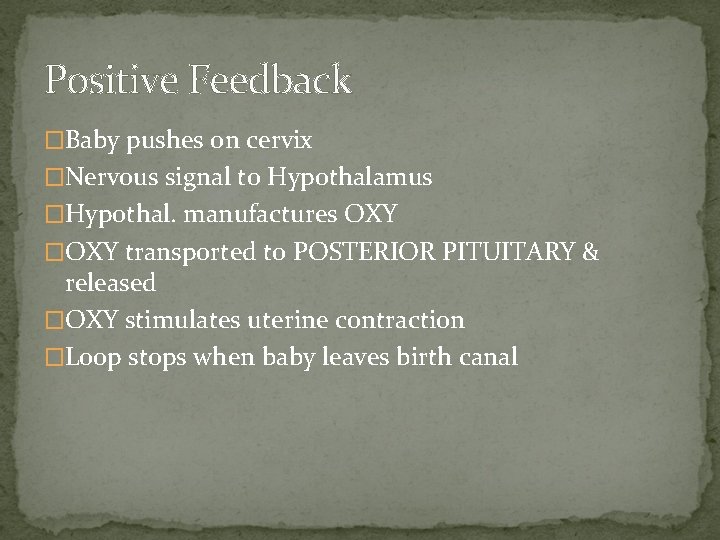Positive Feedback �Baby pushes on cervix �Nervous signal to Hypothalamus �Hypothal. manufactures OXY �OXY