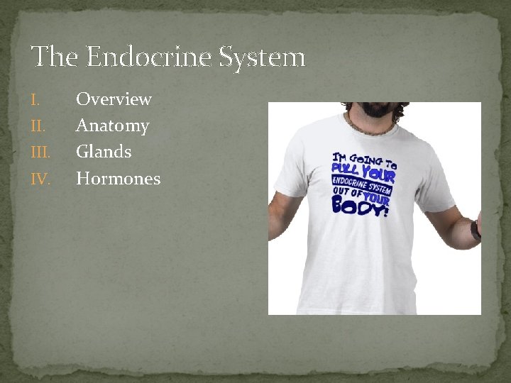 The Endocrine System I. III. IV. Overview Anatomy Glands Hormones 