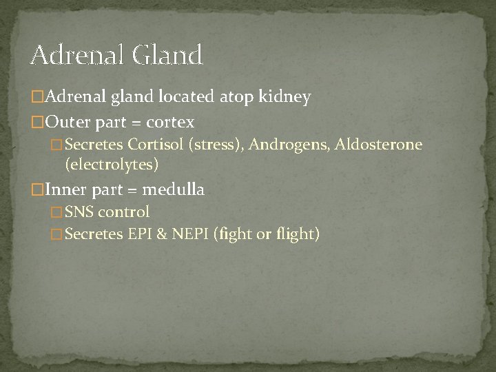 Adrenal Gland �Adrenal gland located atop kidney �Outer part = cortex �Secretes Cortisol (stress),