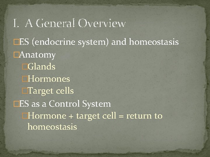 I. A General Overview �ES (endocrine system) and homeostasis �Anatomy �Glands �Hormones �Target cells