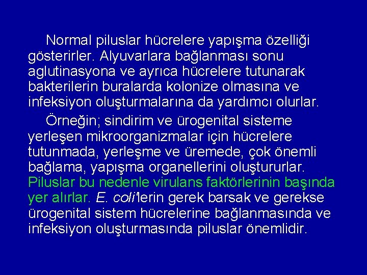 Normal piluslar hücrelere yapışma özelliği gösterirler. Alyuvarlara bağlanması sonu aglutinasyona ve ayrıca hücrelere tutunarak