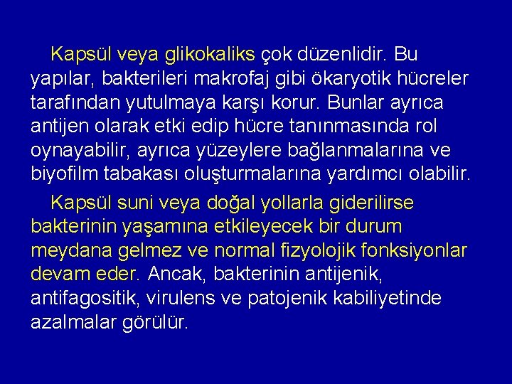 Kapsül veya glikokaliks çok düzenlidir. Bu yapılar, bakterileri makrofaj gibi ökaryotik hücreler tarafından yutulmaya