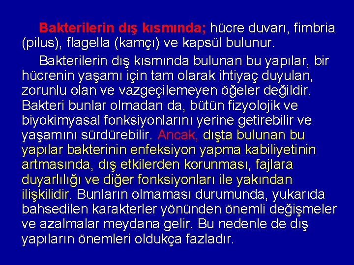 Bakterilerin dış kısmında; hücre duvarı, fimbria (pilus), flagella (kamçı) ve kapsül bulunur. Bakterilerin dış