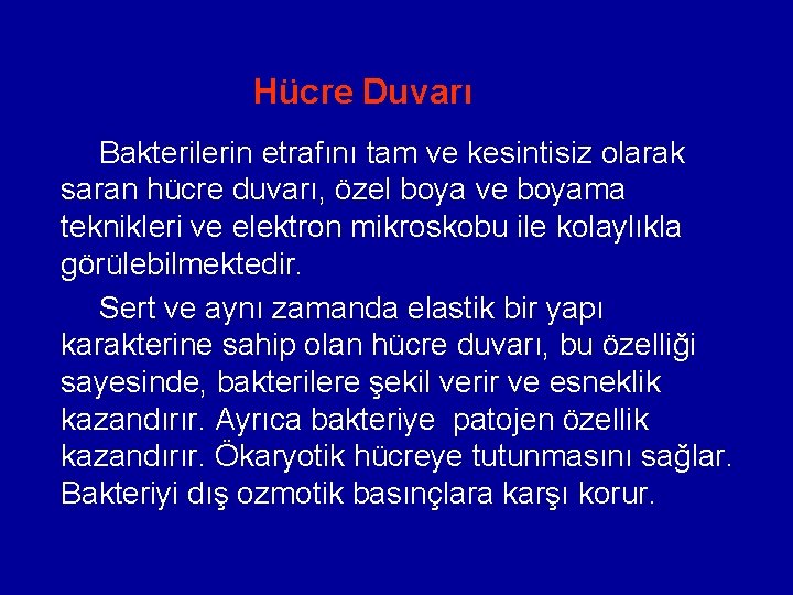 Hücre Duvarı Bakterilerin etrafını tam ve kesintisiz olarak saran hücre duvarı, özel boya ve